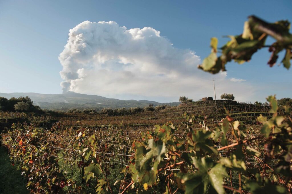 Tenuta Tascante